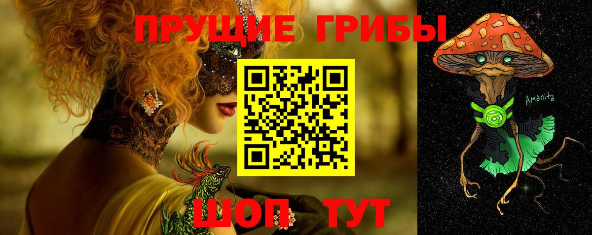 Наро-Фоминск  Галлюциногенные грибы Psilocybine cubensis  Вход с VPN 